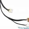 Sikky Stage 3 BMW E36 LS1 Package (w/ Wiring Harness)