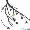 Sikky Stage 3 BMW E36 LS1 Package (w/ Wiring Harness)