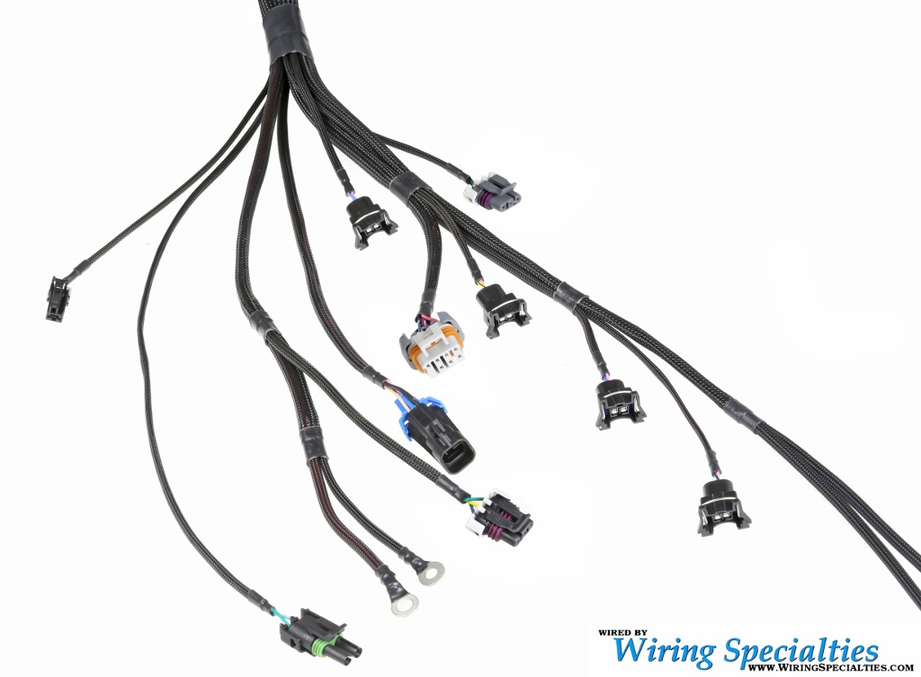 BMW E30 LS1 Wiring Harness | SIKKY